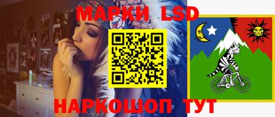 Альфа ПВП Обь