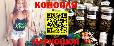 Альфа ПВП Обь