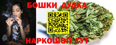 Альфа ПВП Обь